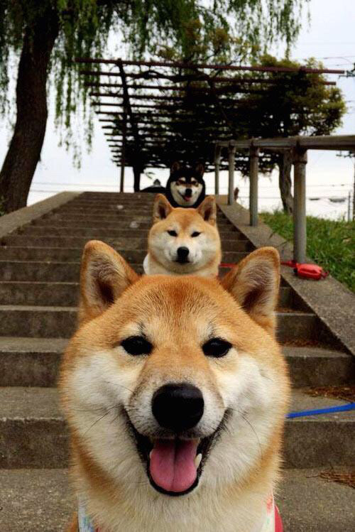 涅槃与风暴，迪亚斯末节18分逆转乾坤，旧金山的天亮之前