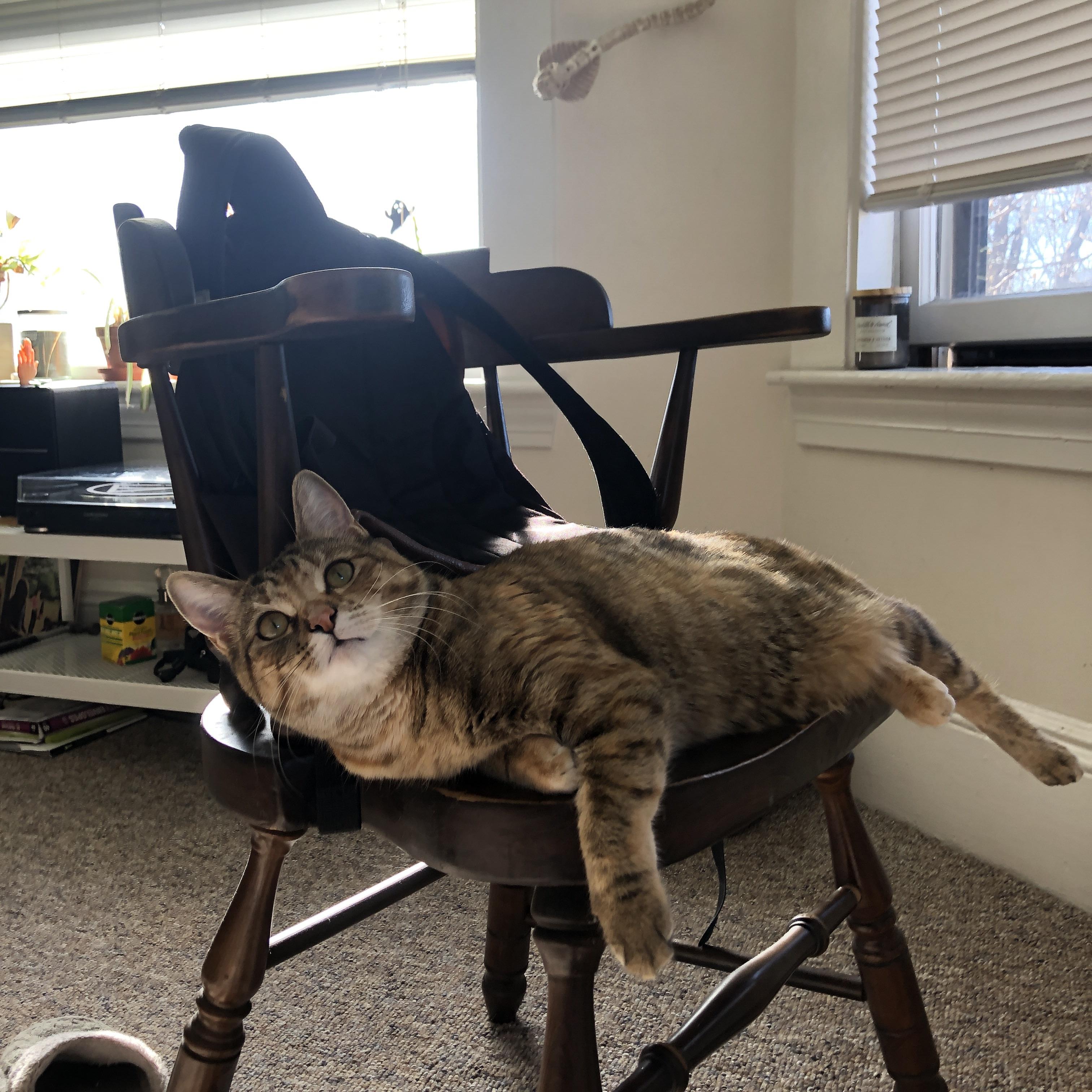 萨拉赫硬仗之王本色尽显,曼城单节爆发拉开塞维利亚差距