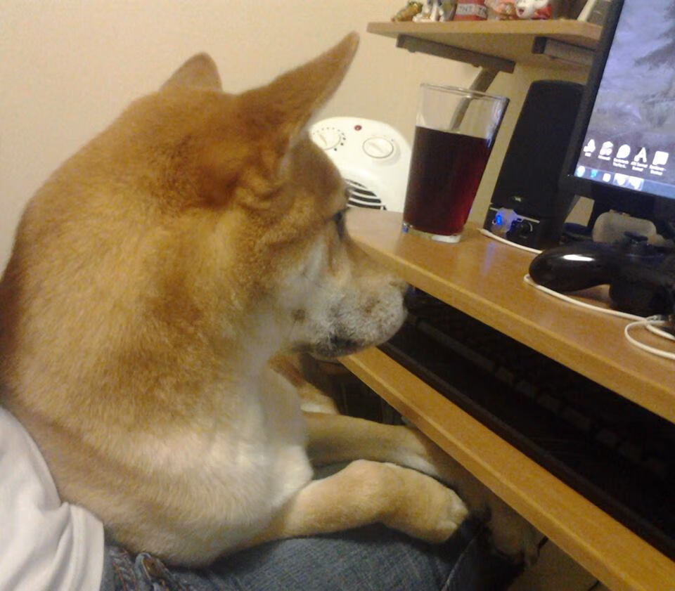 棋盘上的皇后,加维的攻防统治与尼斯的强势晋级