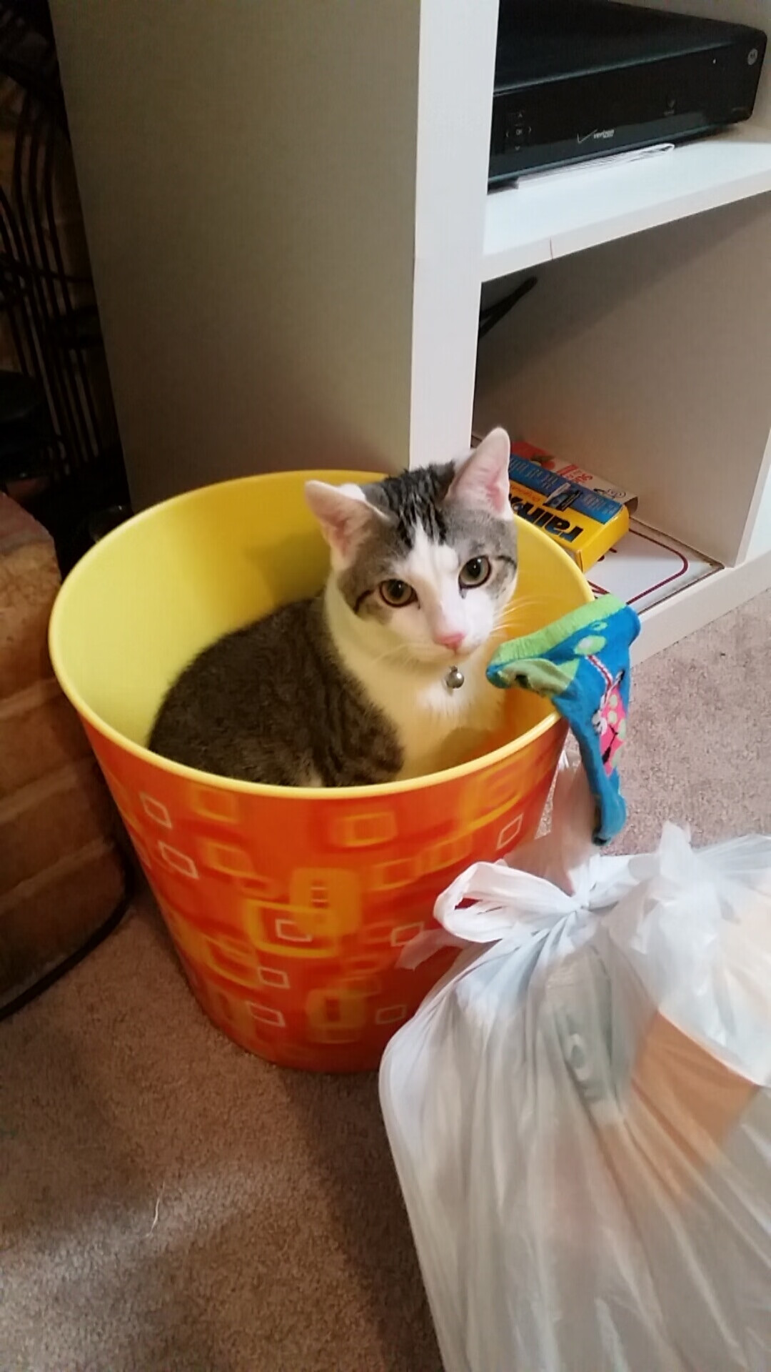 迪亚斯爆发！洪都拉斯巅峰对决胜出日本