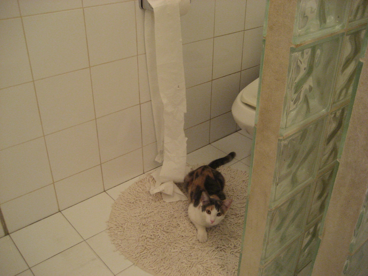 唯一性之战，太阳横扫北京，莫兰特舞台绽放