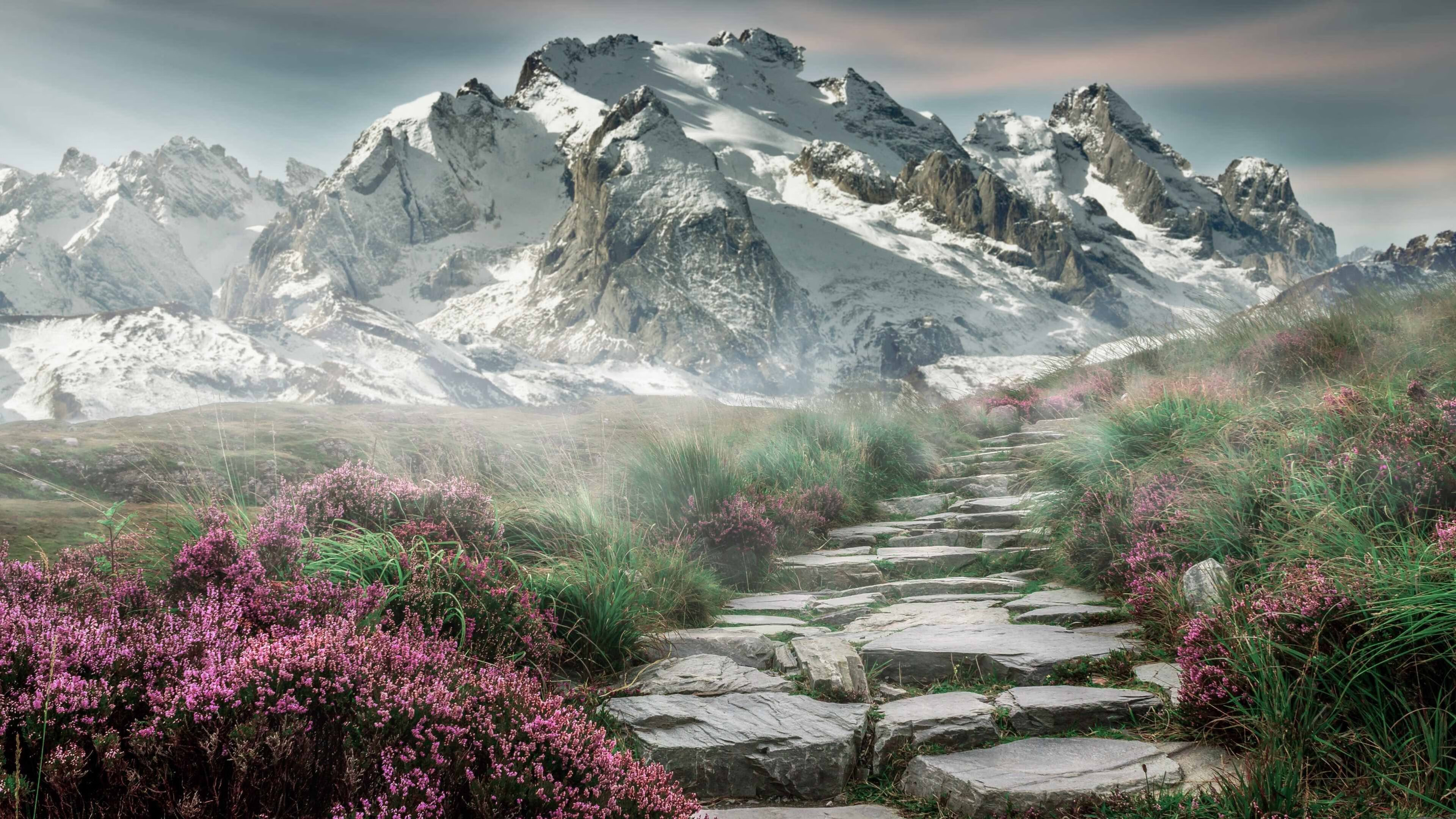 改写历史的破壁者，当贝恩不再是二当家，黄蜂捅破命运的天花板