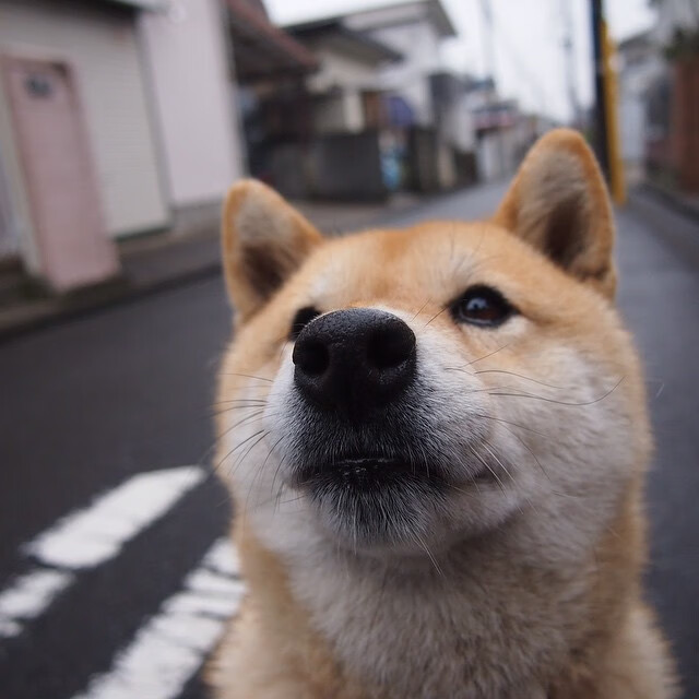 当悬念成为终章，京多安的陨石如何在贝蒂斯之夜点燃巴萨的余烬？