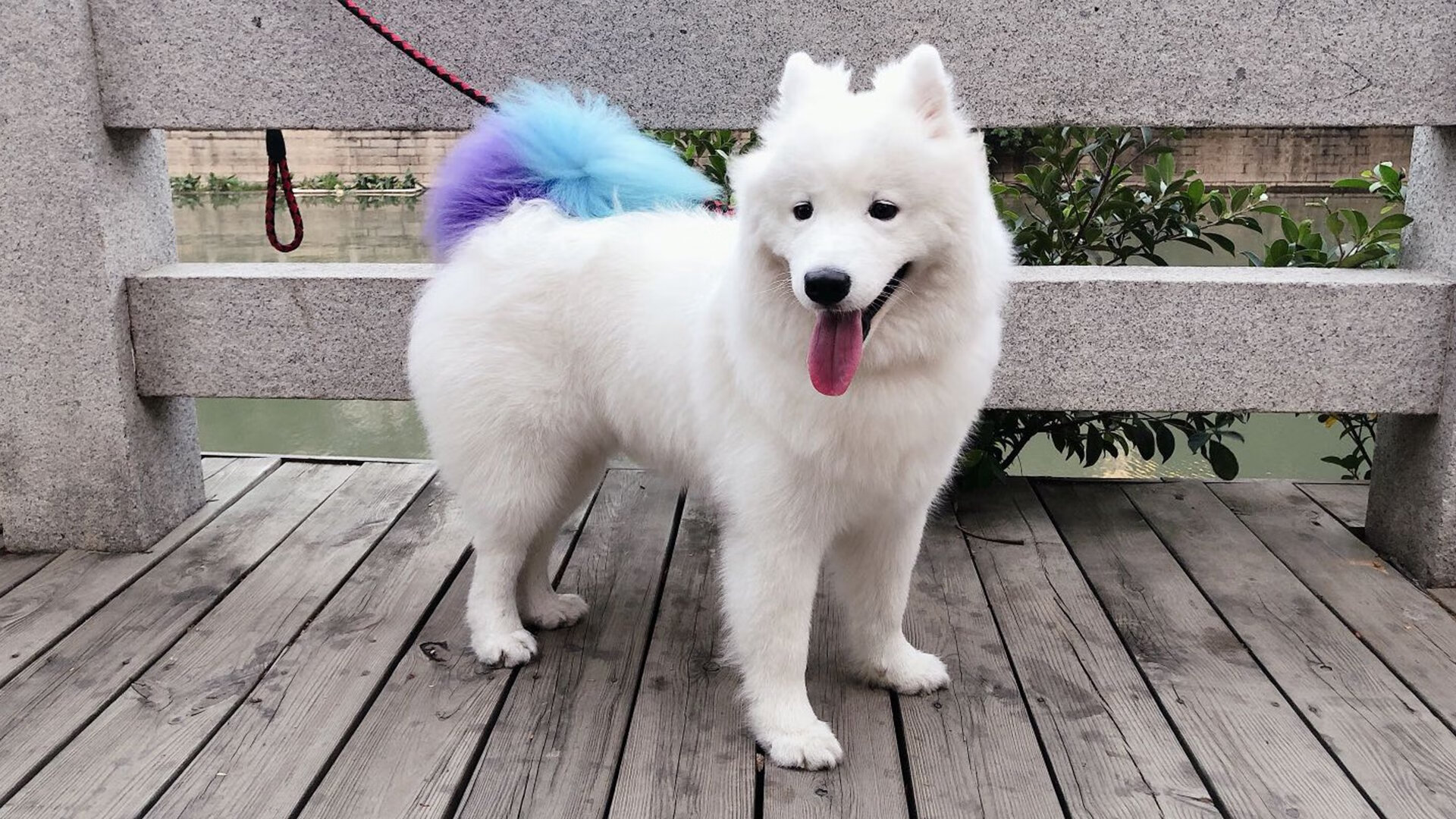 43小时与9.2秒，体育的剧本之美