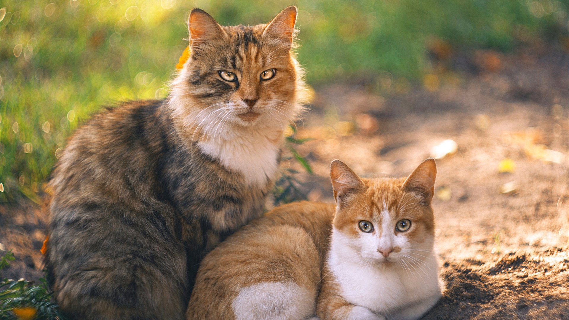 寒冰与烈焰，冰岛黑马冲垮贝蒂斯，莫德里奇再证传奇本色