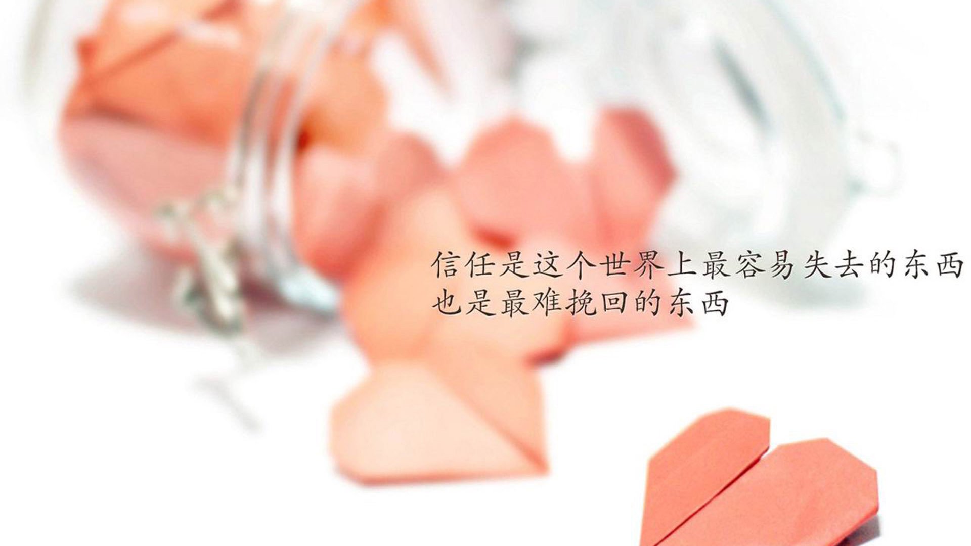 平行宇宙的篮球盛宴,当约基奇遇见双绿大战