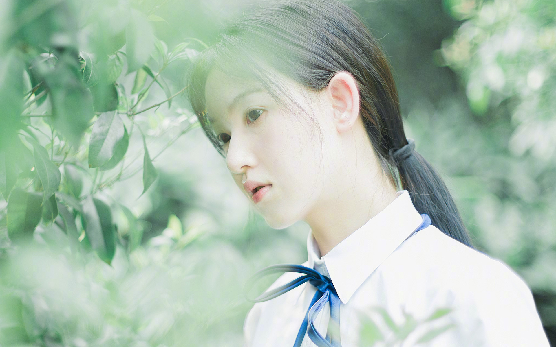 跨时空梦幻对决，班凯罗率黄蜂狂胜广东，一战封神硬仗之王