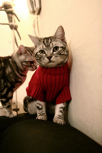 卡塞米罗关键一击定乾坤,卡塔尔火力全开压制南非夺胜