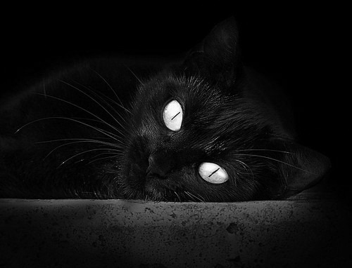 收割者的意志，当摩洛哥的坚韧收割日本的精密，苏亚雷斯成为胜负手