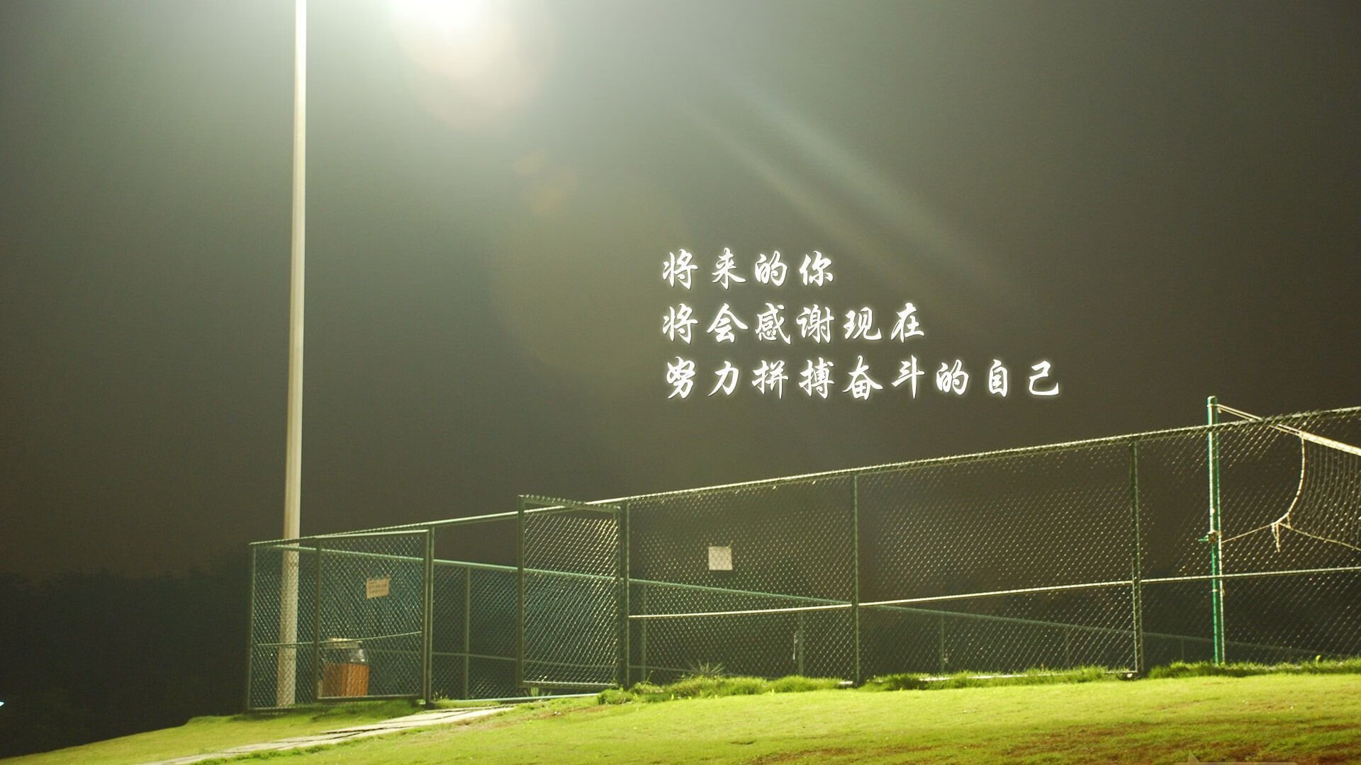 绿洲的怒放，当底格里斯雄狮颠覆欧陆秩序—解构2026世界杯E组那场唯一的东方风暴