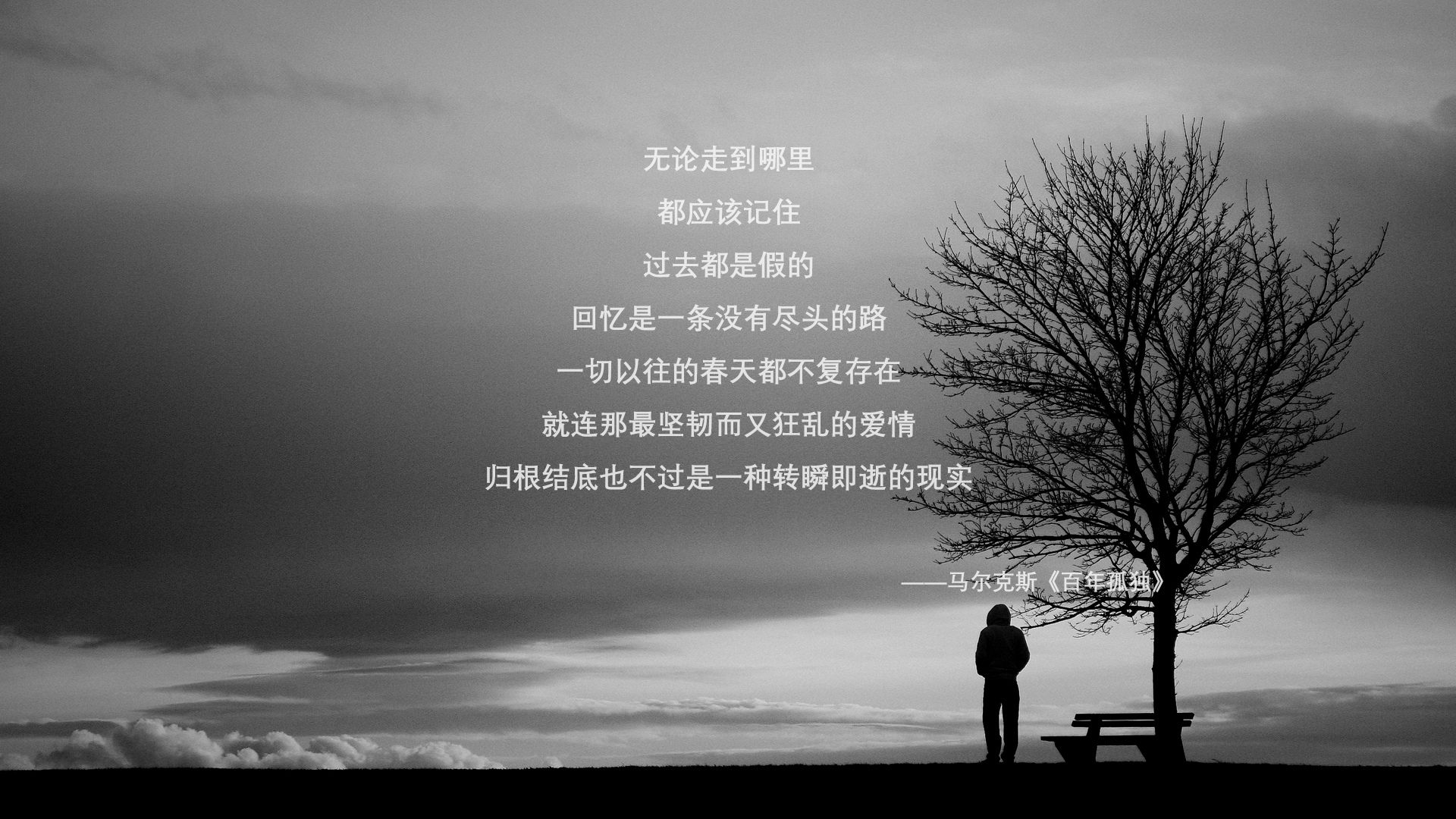 2026世界杯E组唯一悬念，东欧铁骑的觉醒，京多安核心闪耀